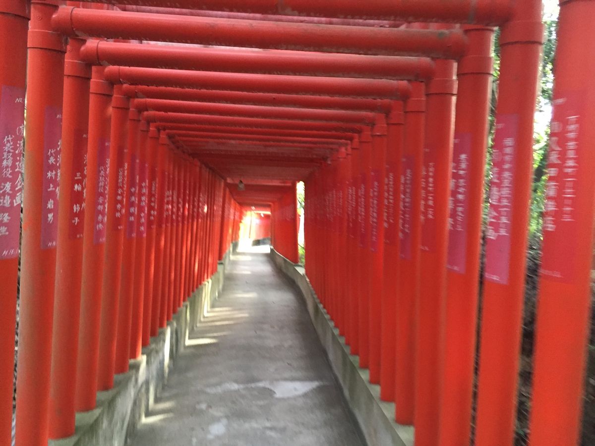 帰りに寄った神社。
ごめんなさい、名前はわかりません💦
貸切って贅沢ですよ...