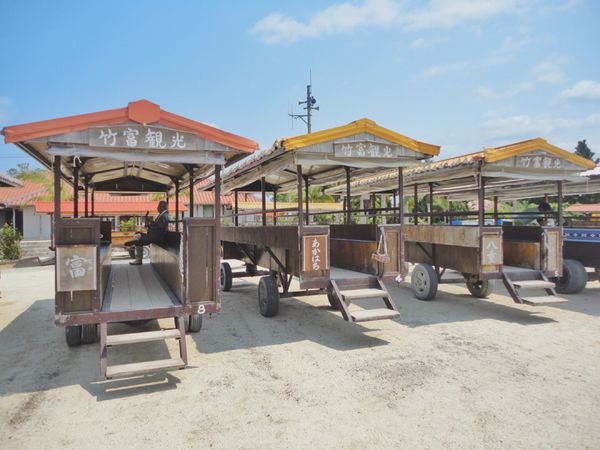 日本・竹富島「Japan🇯🇵沖縄Life🌺🍍」の写真：in 竹富島*°

水牛車観光🐮🌱
お兄...