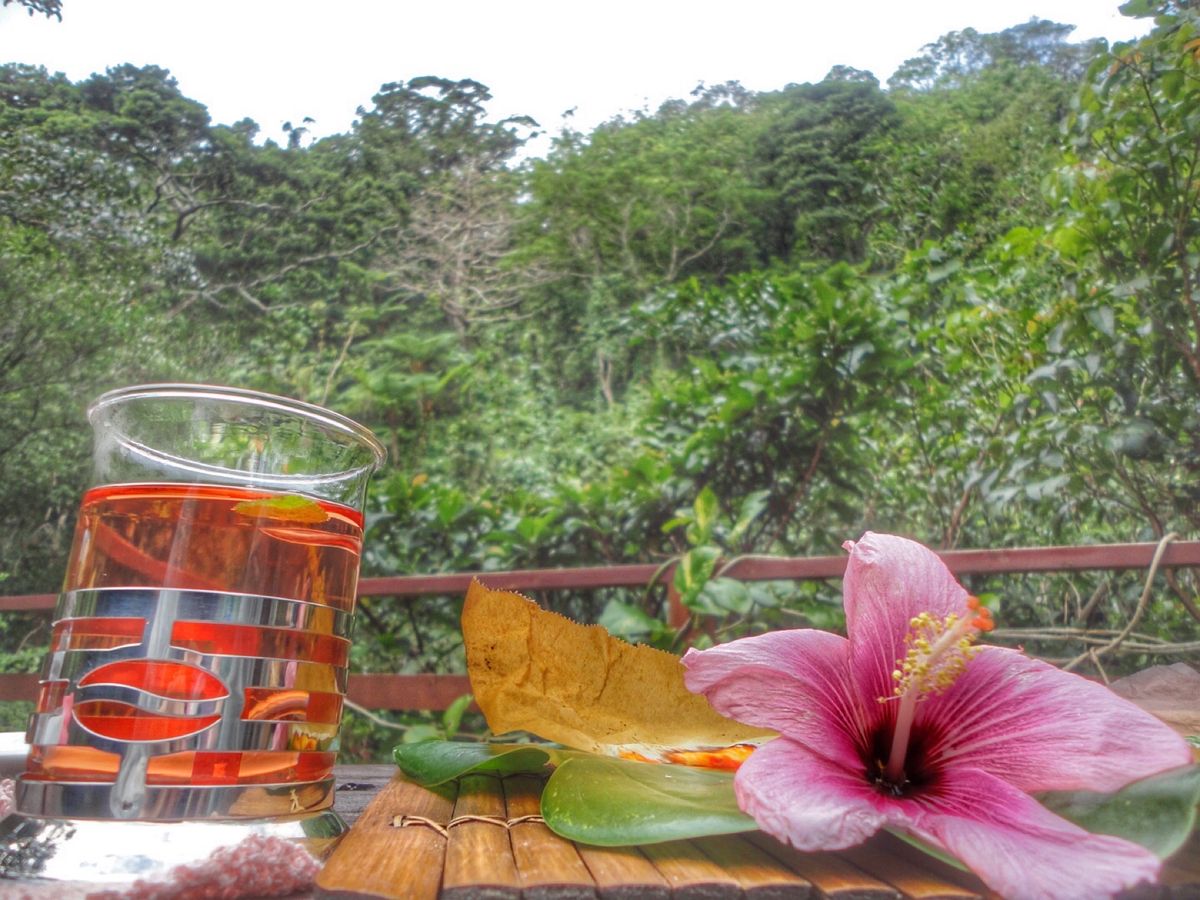 森カフェ🌳🍃

沖縄本島の本部町にある『cafe ichara(イチャラ)...