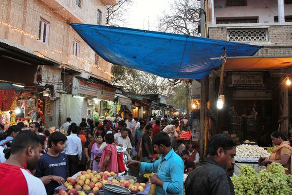 インド・デリー「インド旅行」の写真