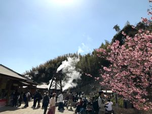 駐車場も奥の中学校まで行ってやっと停められました。
