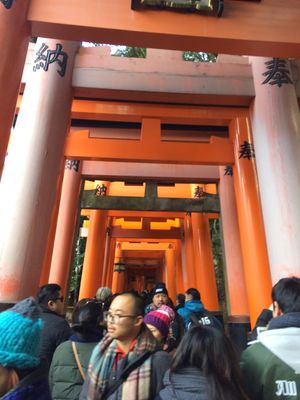 伏見稲荷