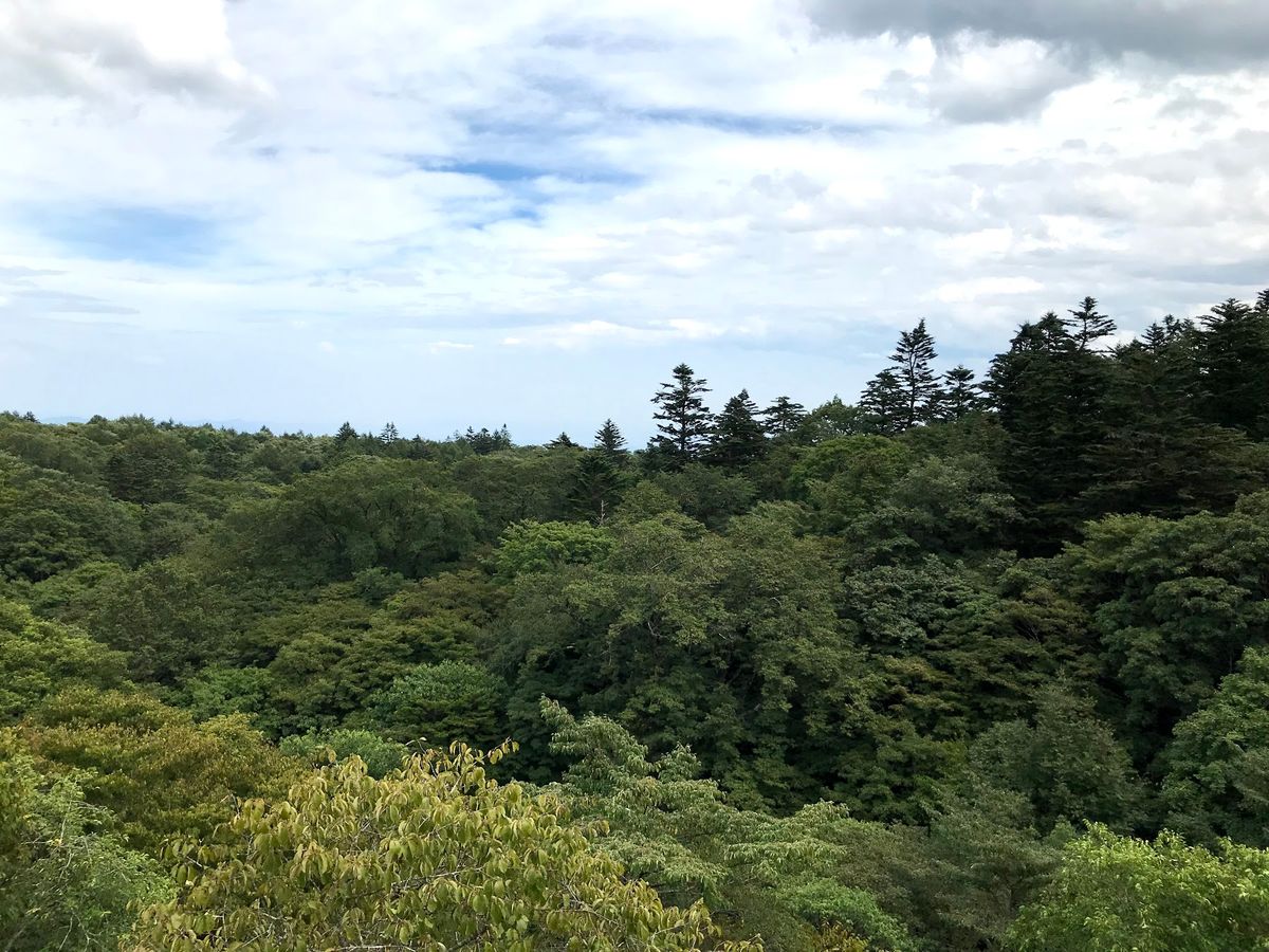 前日仕事でほとんど寝ていなかったため、行きの新幹線爆睡