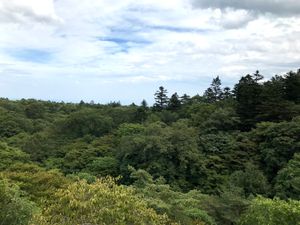 前日仕事でほとんど寝ていなかったため、行きの新幹線爆睡