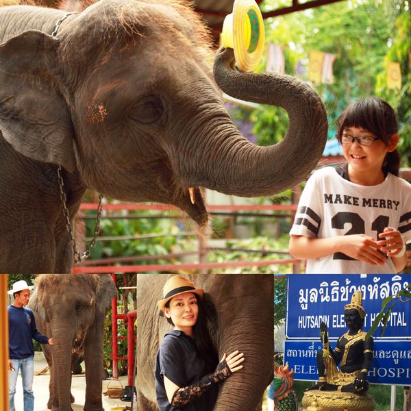 タイ・ホアヒン「ホアヒン家族に会いに」の写真
