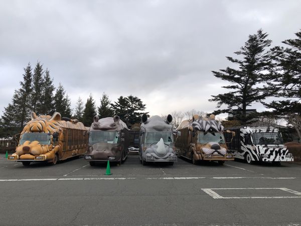 日本・静岡県「静岡旅行」の写真