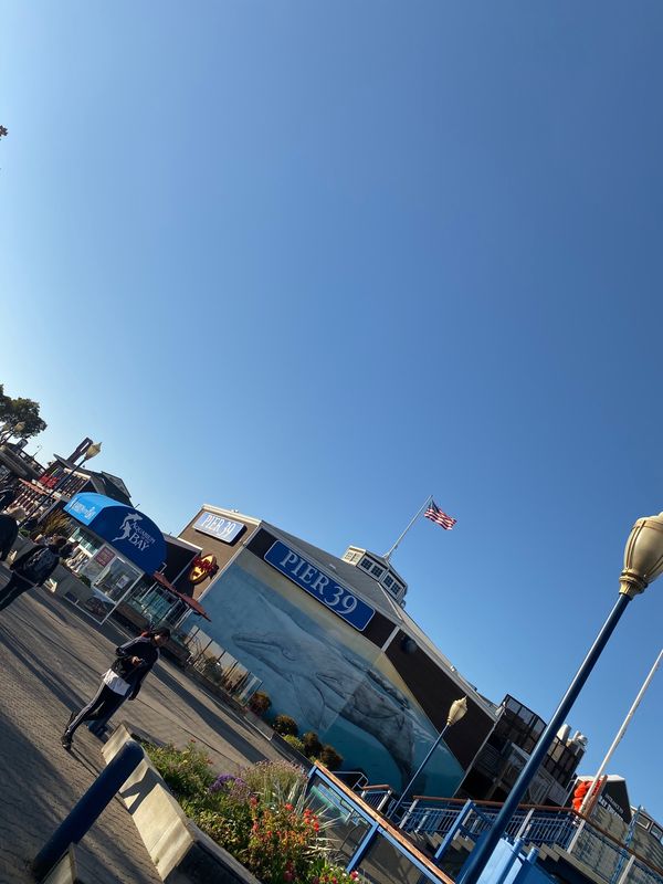 アメリカ(米国)・サンフランシスコ「卒業旅行」の写真