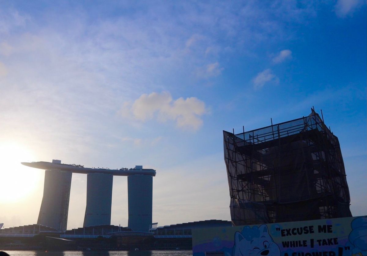 シンガポール国内を観光できたのは少し

今度行ったらいろいろ見たいしご飯も...