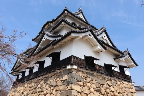 日本・滋賀県「青春18きっぷの旅-彦根城」の写真：彦根城
あったかくて花粉がつらかったけど...