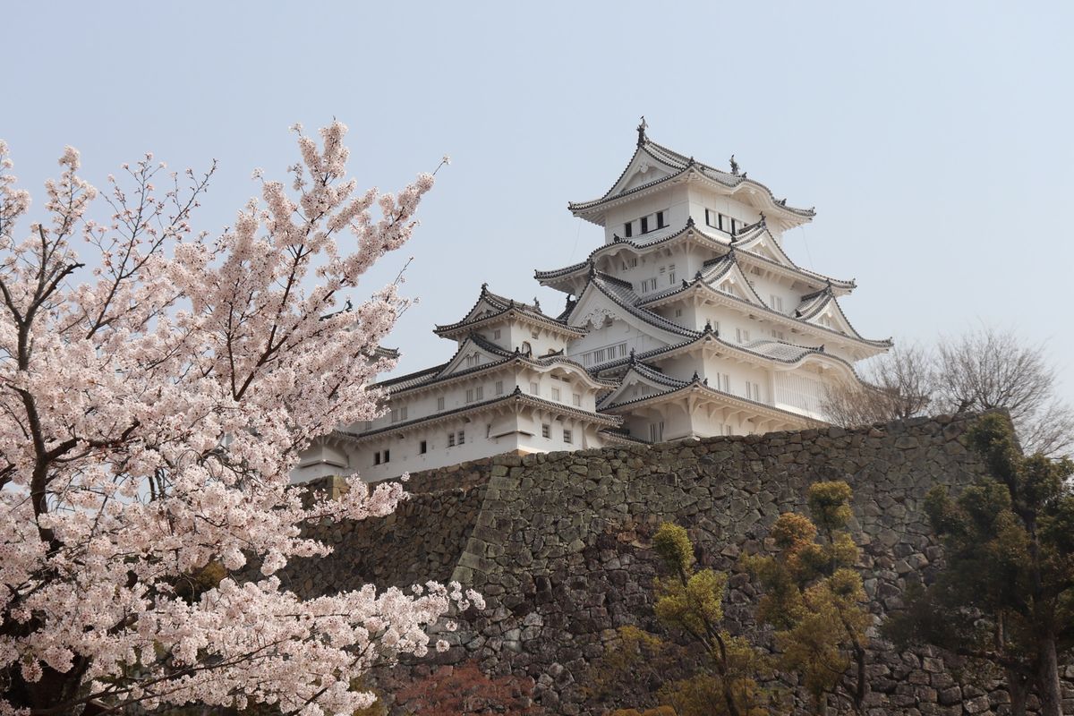 
さくら×姫路城