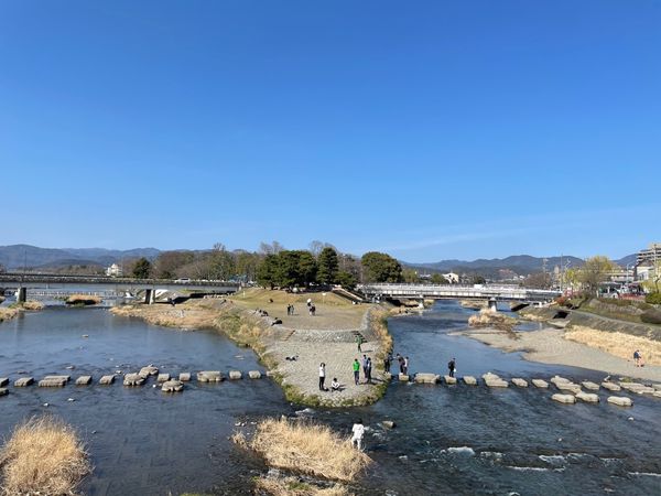 日本・京都府「春の京都御苑と下鴨神社」の写真：糺の森から下鴨神社を参拝。