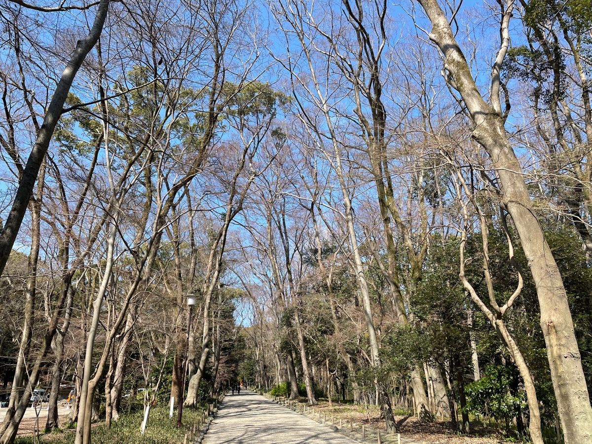 糺の森から下鴨神社を参拝。