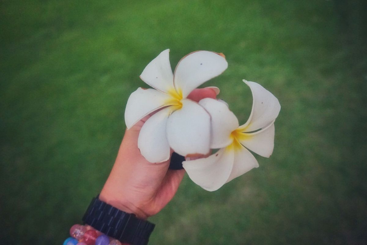 23rd Feb. 2016 pic📷

ホテル内お散歩👣👣

1度も入ら...