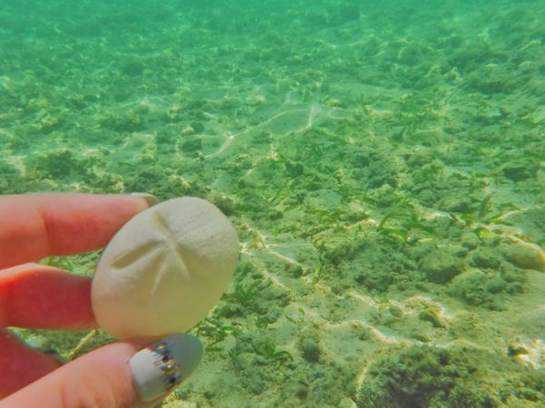 フィリピン・セブ島「Philippines🇵🇭Cebu 第5回母娘旅行👩‍👧」の写真：21st Feb. 2016 pic📷
...