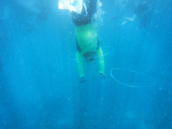 フィリピン・セブ島「Philippines🇵🇭Cebu 第5回母娘旅行👩‍👧」の写真：22nd Feb. 2016 pic📷
...