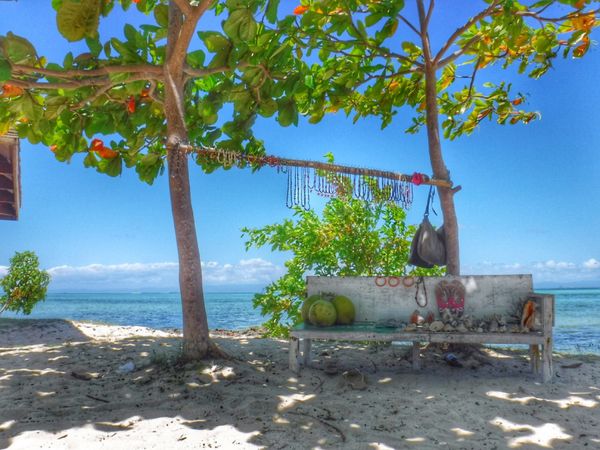 フィリピン・セブ島「Philippines🇵🇭Cebu 第5回母娘旅行👩‍👧」の写真：21st Feb. 2016 pic📷
...