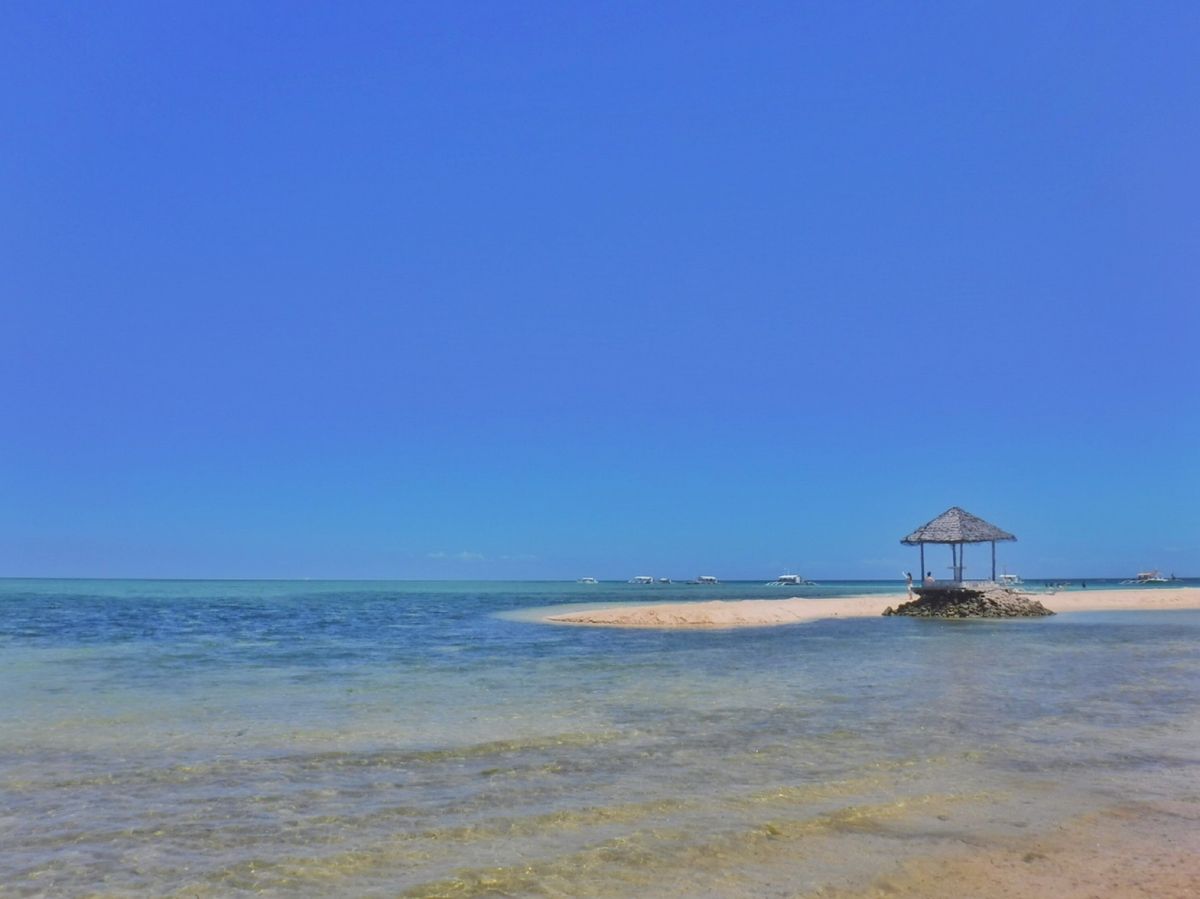 21st Feb. 2016 pic📷

🏝*°
