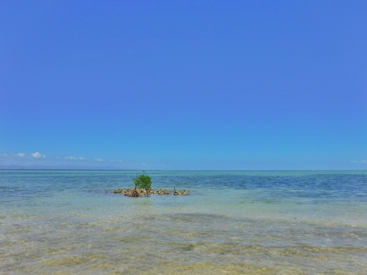 21st Feb. 2016 pic📷

🏝*°
