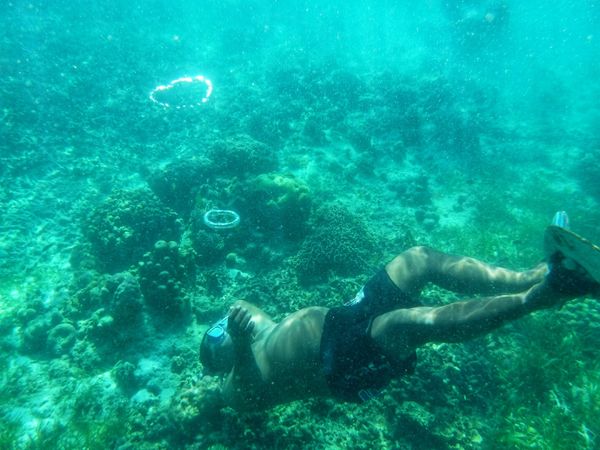 フィリピン・セブ島「Philippines🇵🇭Cebu 第5回母娘旅行👩‍👧」の写真：21st Feb. 2016 pic📷
...