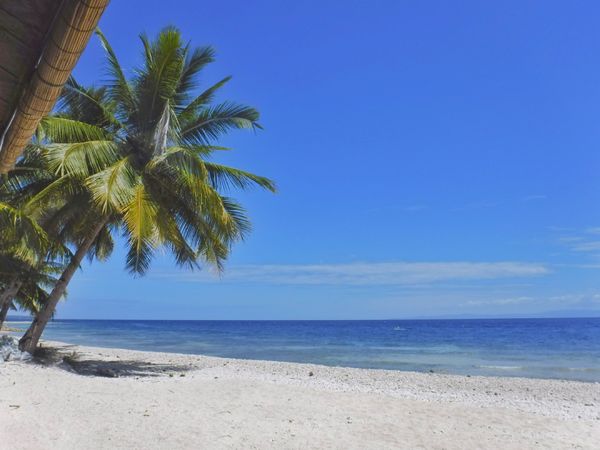 フィリピン・セブ島「Philippines🇵🇭Cebu 第5回母娘旅行👩‍👧」の写真：22nd Feb. 2016 pic📷
...