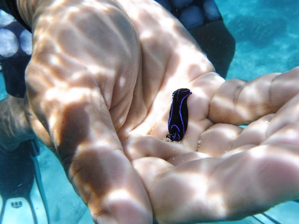 フィリピン・セブ島「Philippines🇵🇭Cebu 第5回母娘旅行👩‍👧」の写真：22nd Feb. 2016 pic📷
...