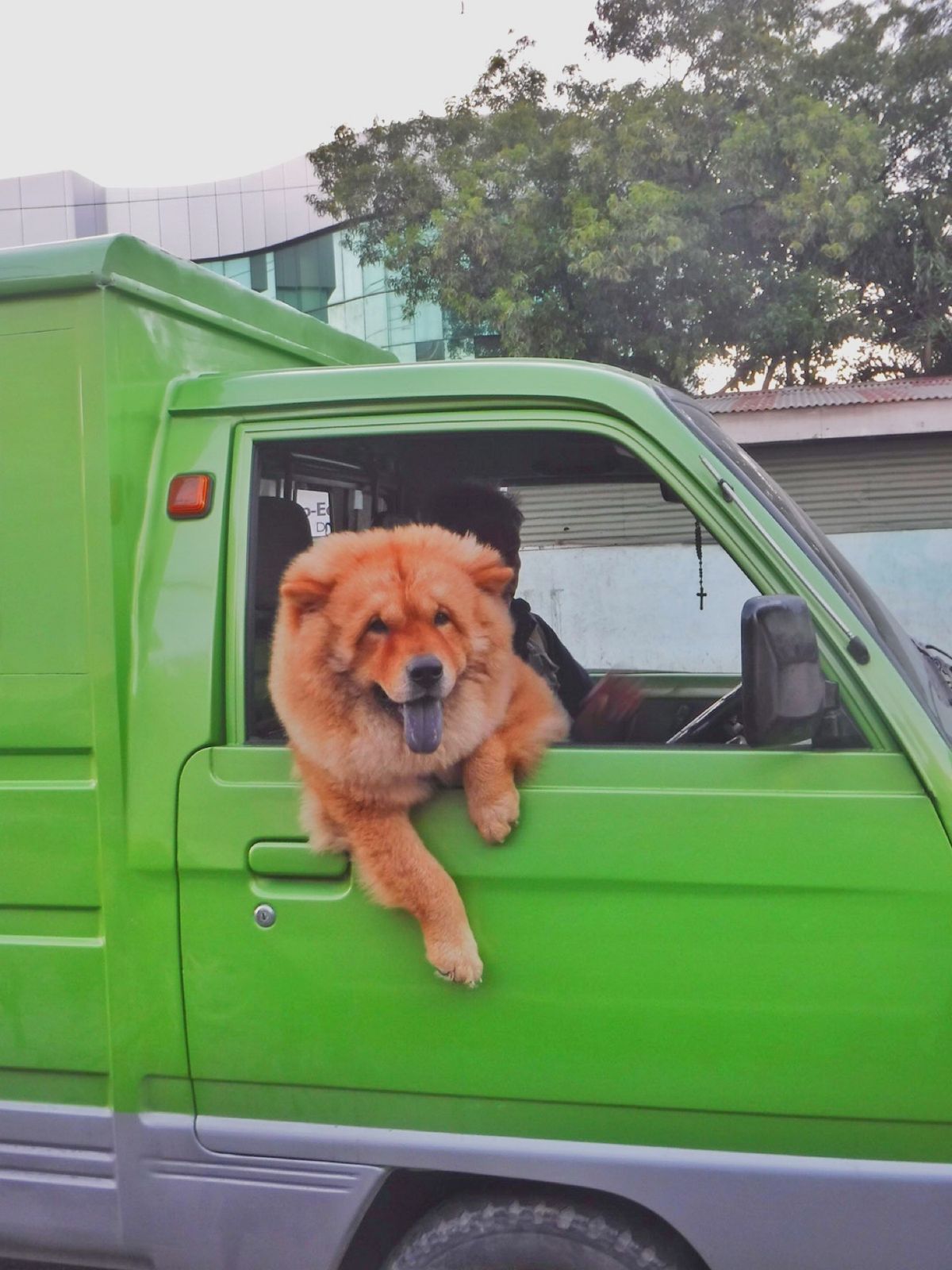 22nd Feb. 2016 pic📷

ふわふわワンチャン🐶💕
可愛いぃ...