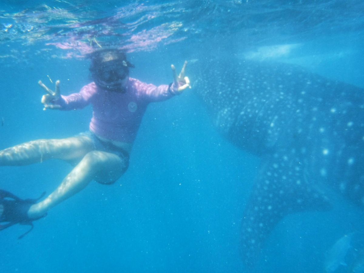 22nd Feb. 2016 pic📷

わーい♡
一緒に泳いでる〜🦈*°