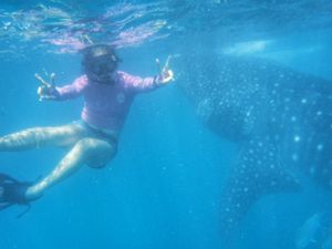 22nd Feb. 2016 pic📷

わーい♡
一緒に泳いでる〜🦈*°