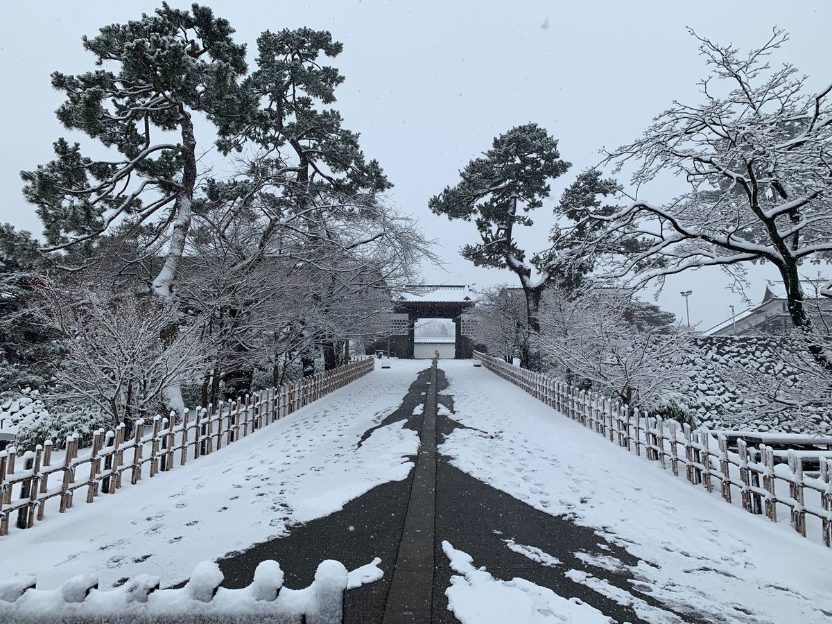 
兼六園

夏に行くのと全然違う景色

