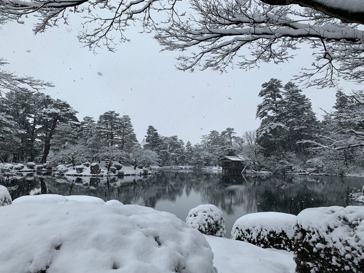 
兼六園

夏に行くのと全然違う景色

