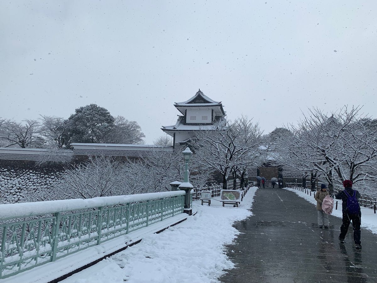 
兼六園

夏に行くのと全然違う景色

