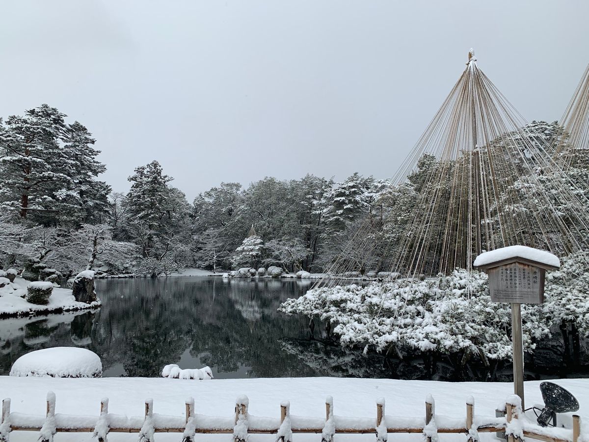 
兼六園

夏に行くのと全然違う景色

