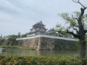 
岸和田城

