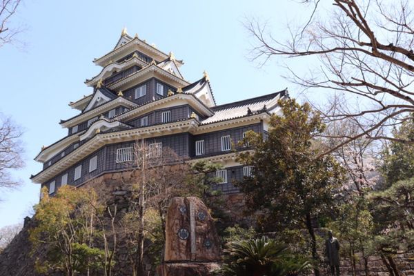 日本・岡山「青春18きっぷの旅-岡山城」の写真：
岡山城と後楽園からみる岡山城

