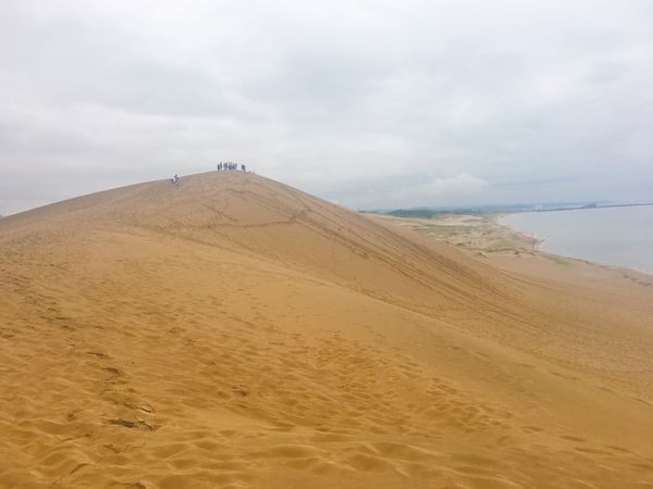 日本・兵庫県「日本で最も美しい村との出会い（ワークキャンプ）」の写真：
ついでに鳥取砂丘