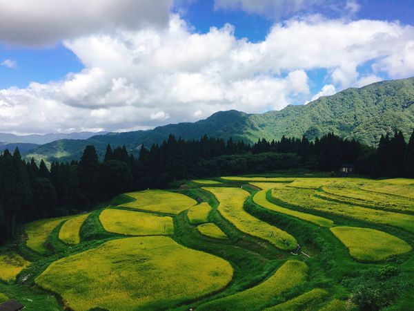 日本・兵庫県「日本で最も美しい村との出会い（ワークキャンプ）」の写真：
香美町