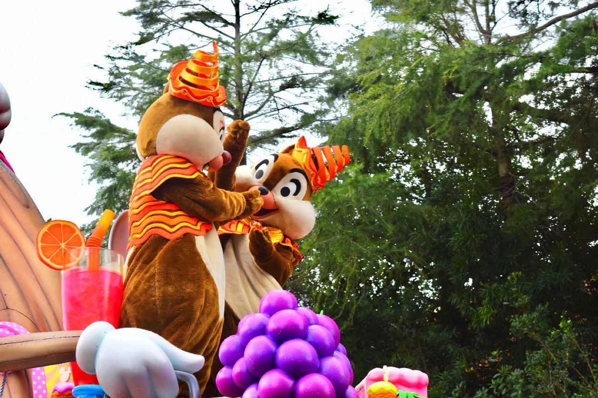 雨ドリーミング・アップ！☔️