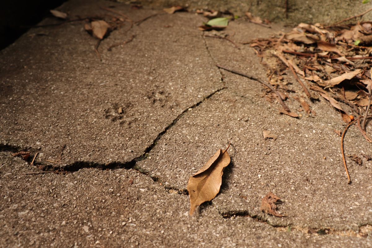 
坂とねこのまち

