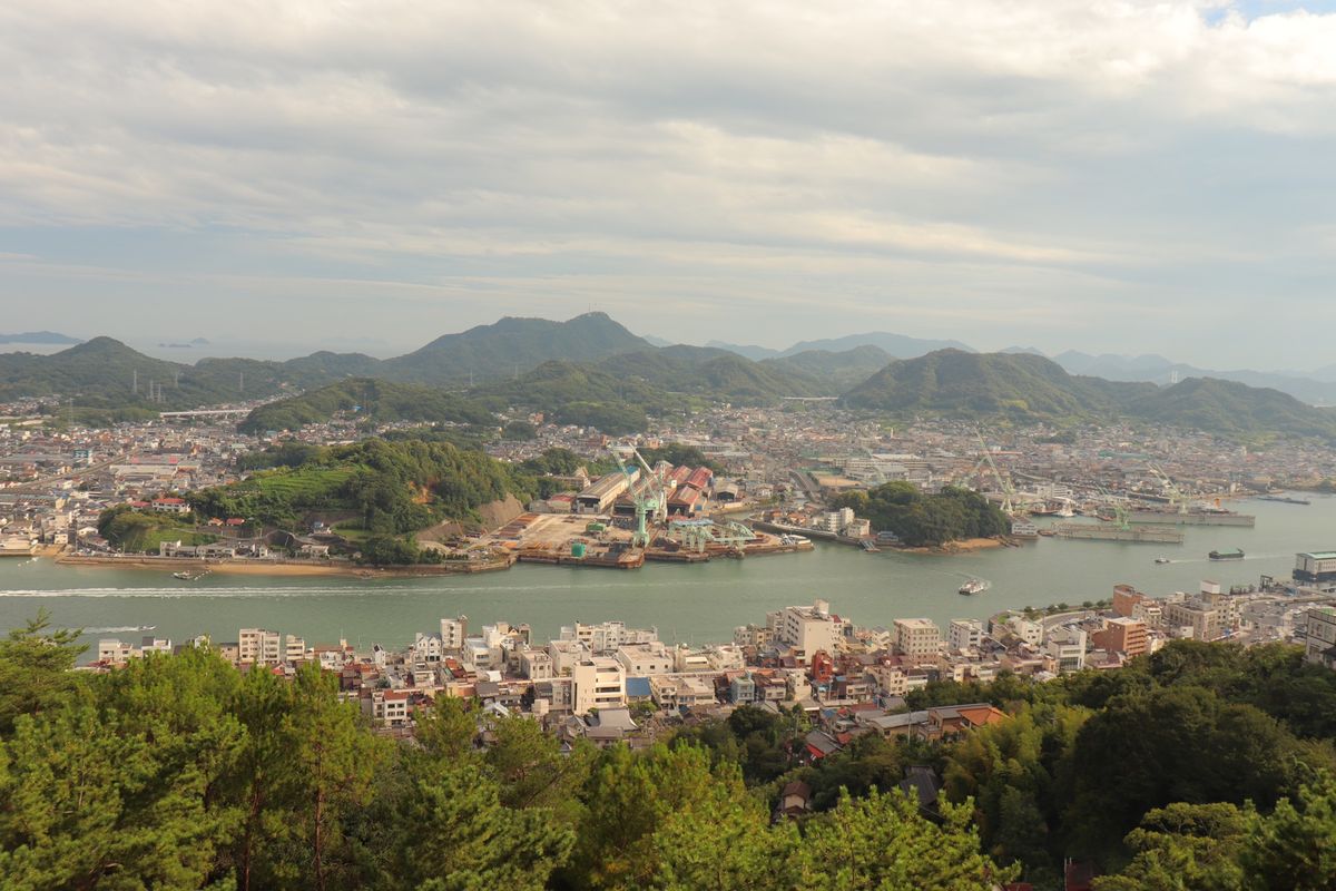 
坂とねこのまち

