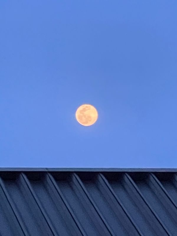 日本・沖縄「満月の宮古島」の写真：夜はザ満月、、
でも曇ってました😭