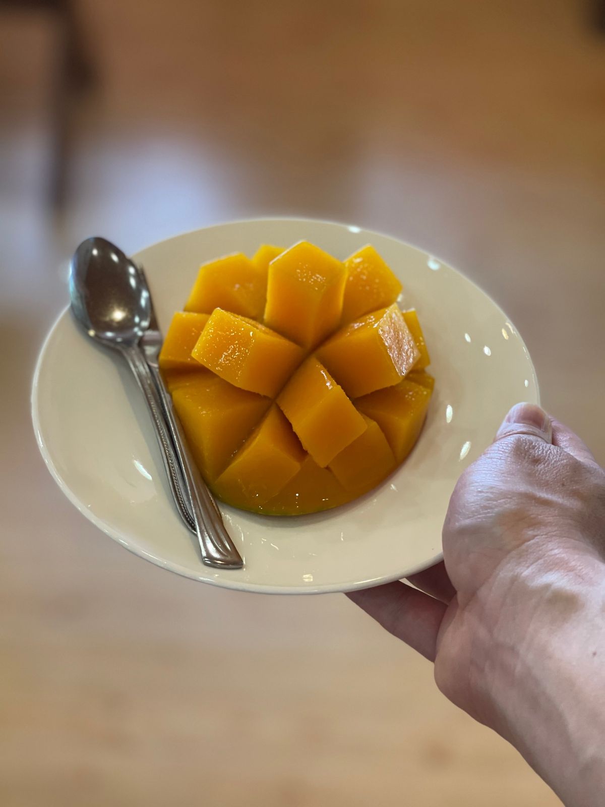 ユートピアファーム宮古島

フルーツジュースを飲みに行くも、マンゴーを食べ...