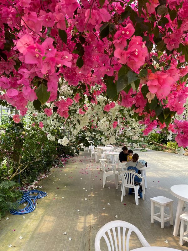 日本・沖縄「満月の宮古島」の写真：ユートピアファーム宮古島

フルーツジュ...