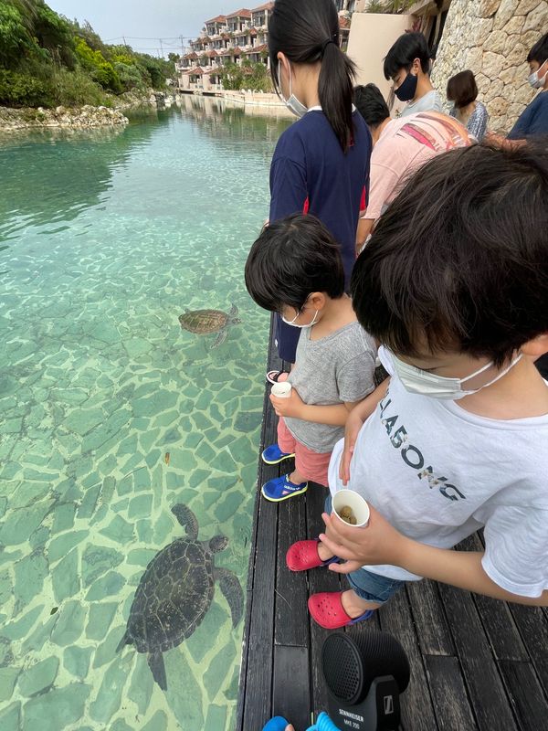 日本・沖縄「満月の宮古島」の写真：シギラアラマンダでは9時30分から亀の餌...