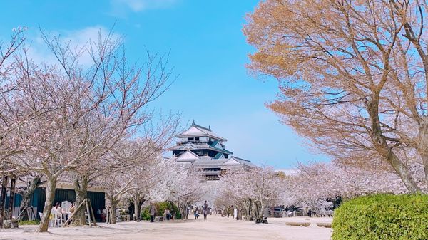 日本「道後温泉」の写真