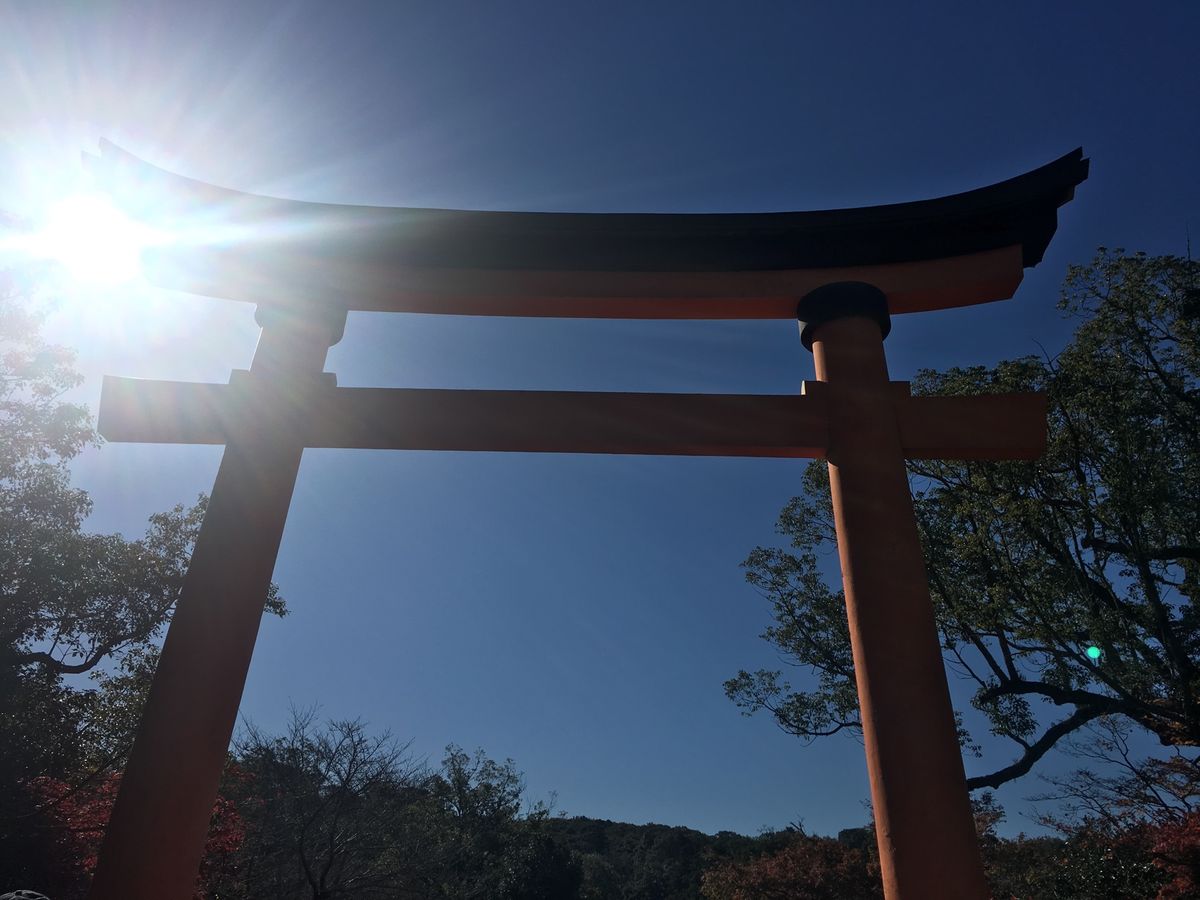 
国東半島バスツアー
宇佐神宮

なんか、来てよかったってただただ思った

