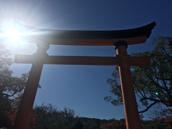日本・大分県「大分-論文発表の旅」の写真：
国東半島バスツアー
宇佐神宮

なんか...