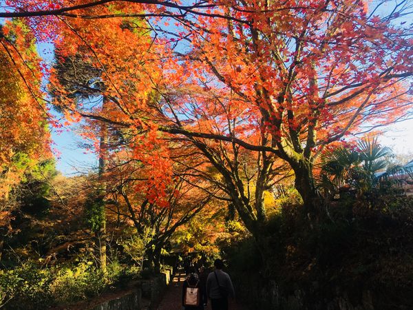 日本・大分県「大分-論文発表の旅」の写真：
国東半島バスツアー
熊野磨崖仏


バ...