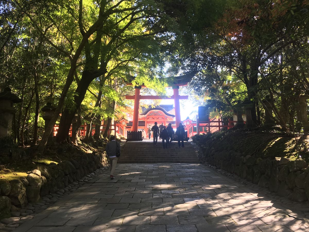
国東半島バスツアー
宇佐神宮

なんか、来てよかったってただただ思った

