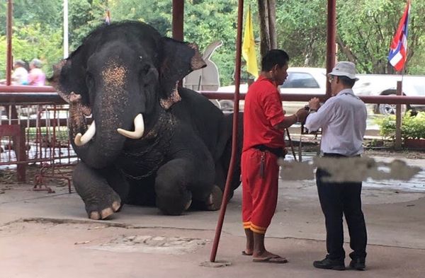 タイ・バンコク「Bangkok-Thailand🇹🇭 2018.09」の写真
