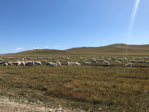 中国・フフホト「2019内蒙古」の写真